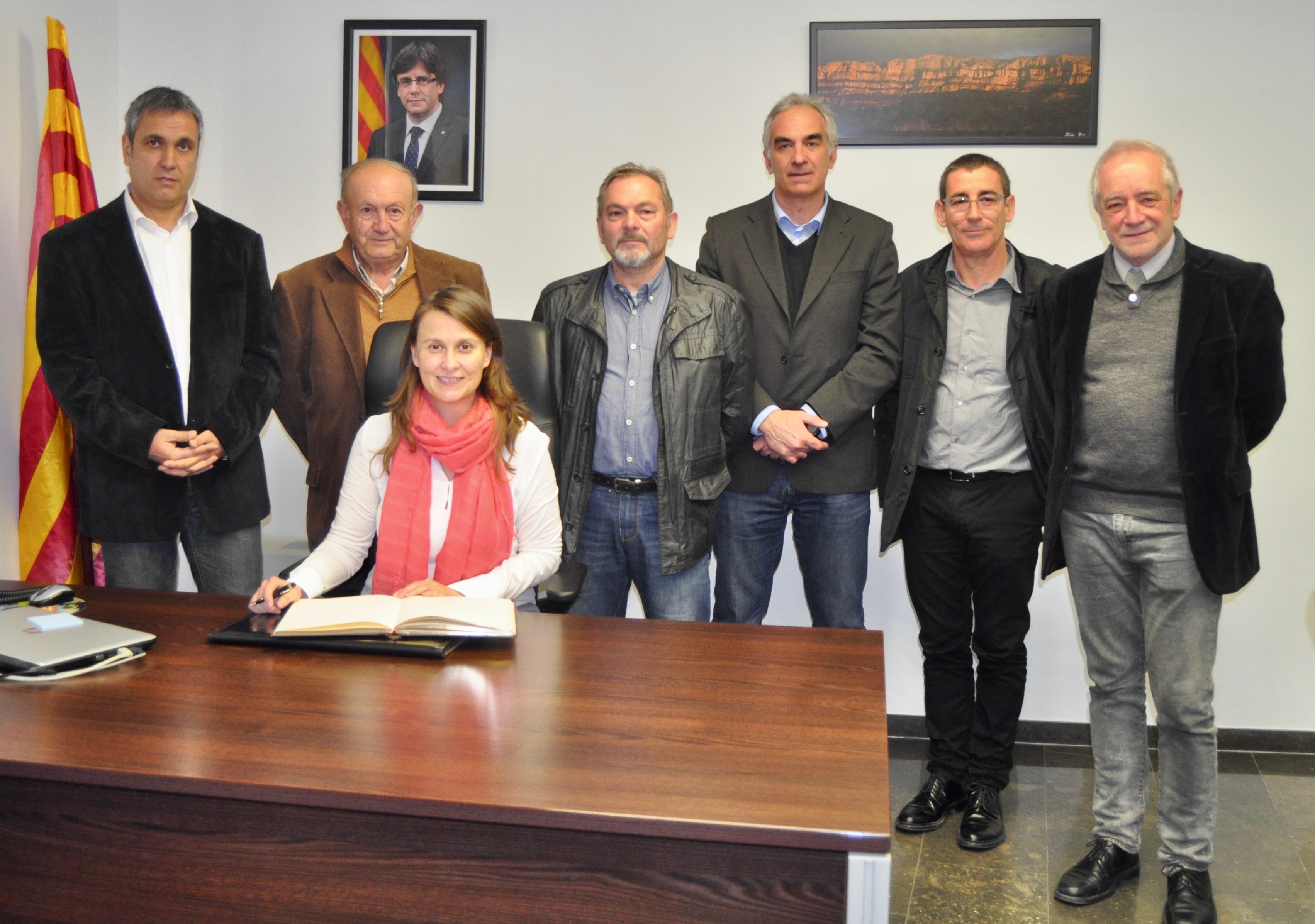Consell Comarcal