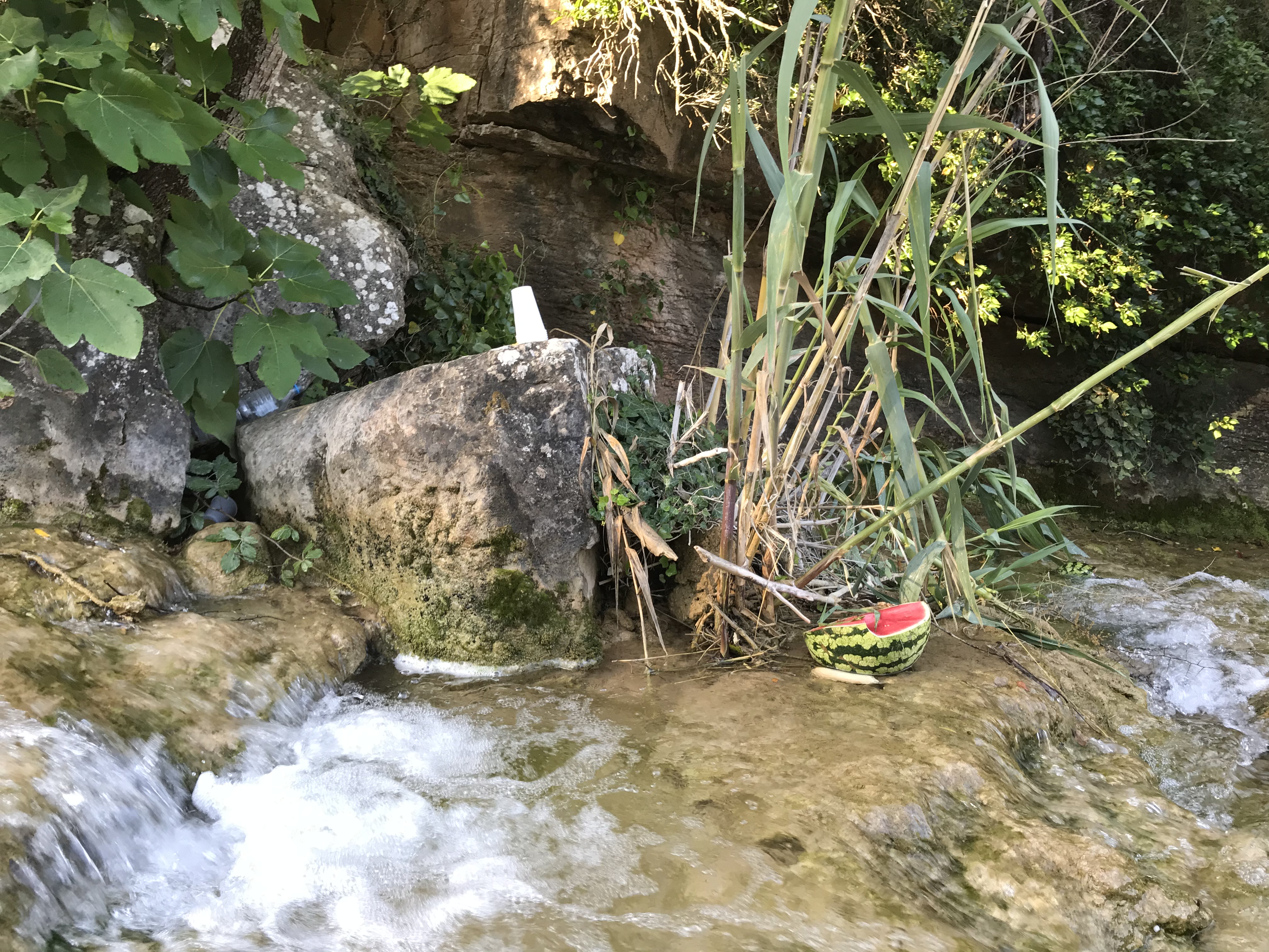 IMG 0843
