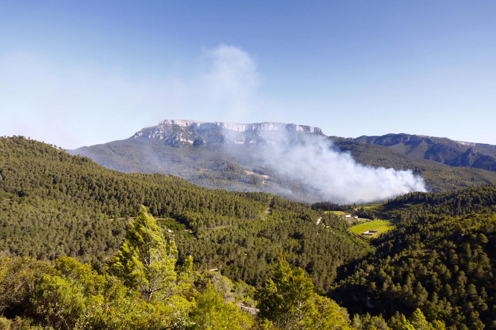 incendi Pradell