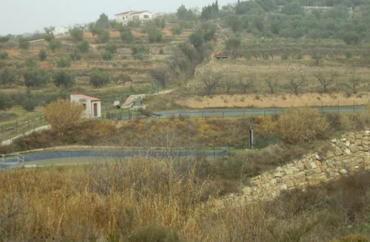 masroig