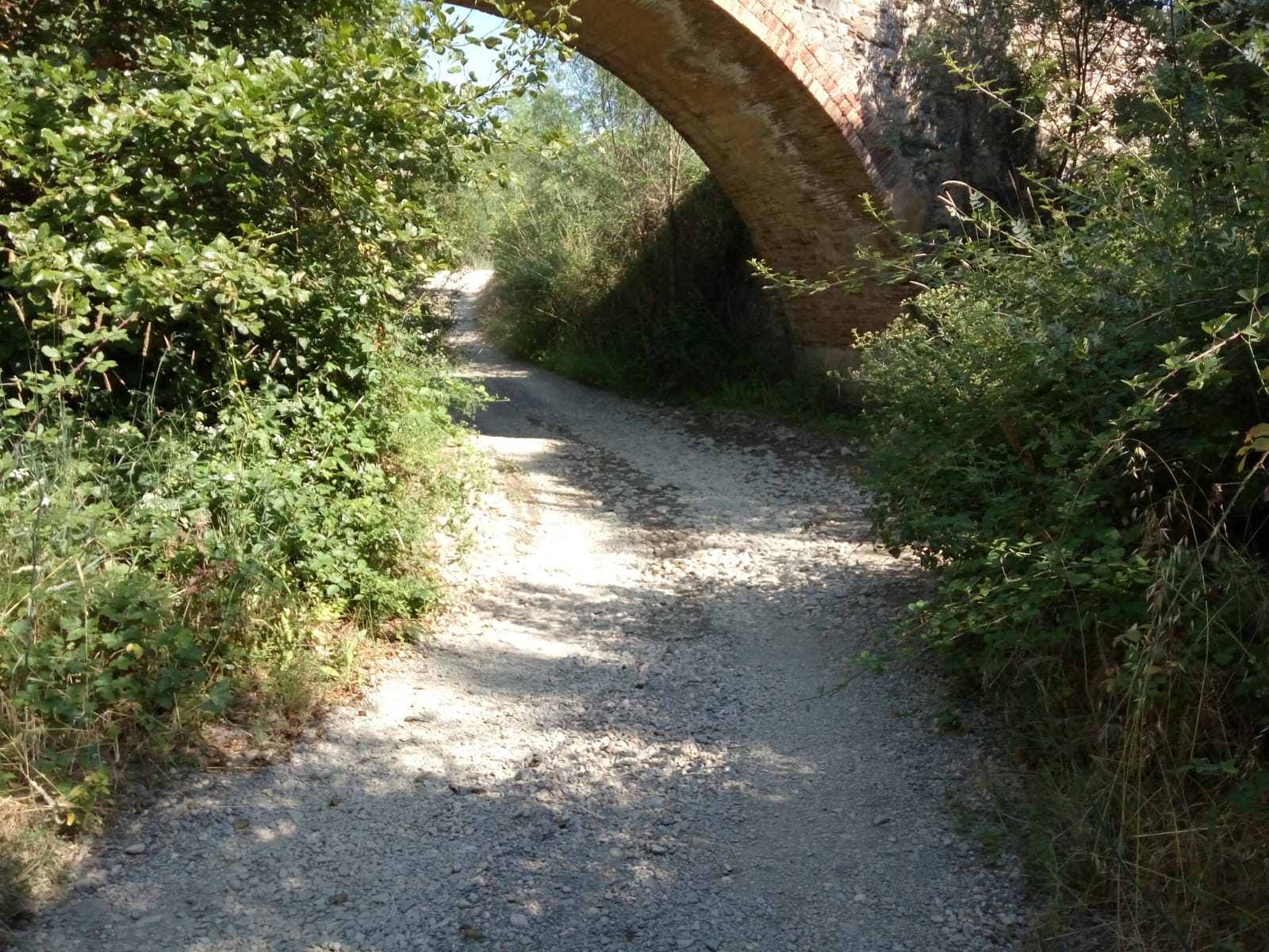 siuranasecpoboleda